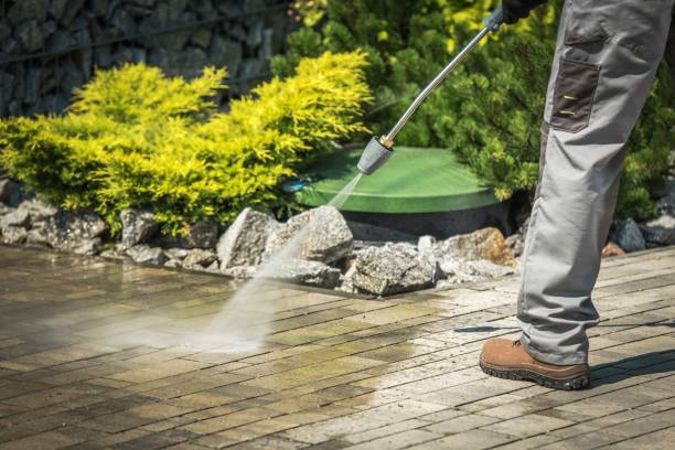 Best Sidewalk and Walkway Cleaning  in Weston, MO