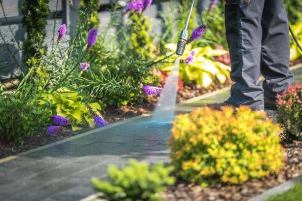 Best Restaurant Pressure Washing  in Weston, MO