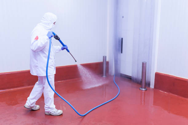 Best Patio and Deck Pressure Washing  in Weston, MO
