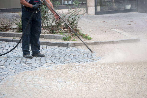 Best Residential House Exterior Washing  in Weston, MO