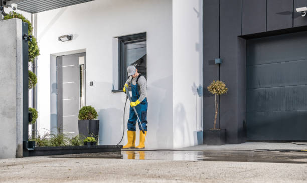 Best Roof Washing  in Weston, MO